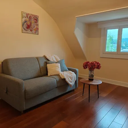 Les Bulles ベッド・アンド・ブレックファスト エピナル