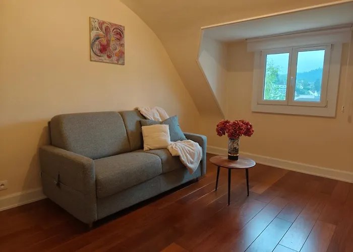 Les Bulles ベッド・アンド・ブレックファスト エピナル